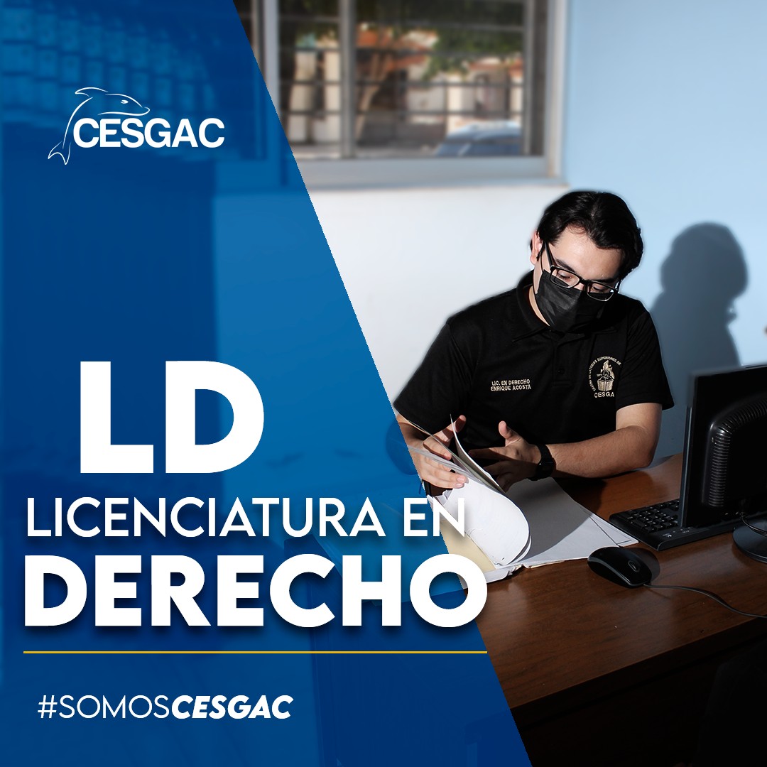 Imagen 5
