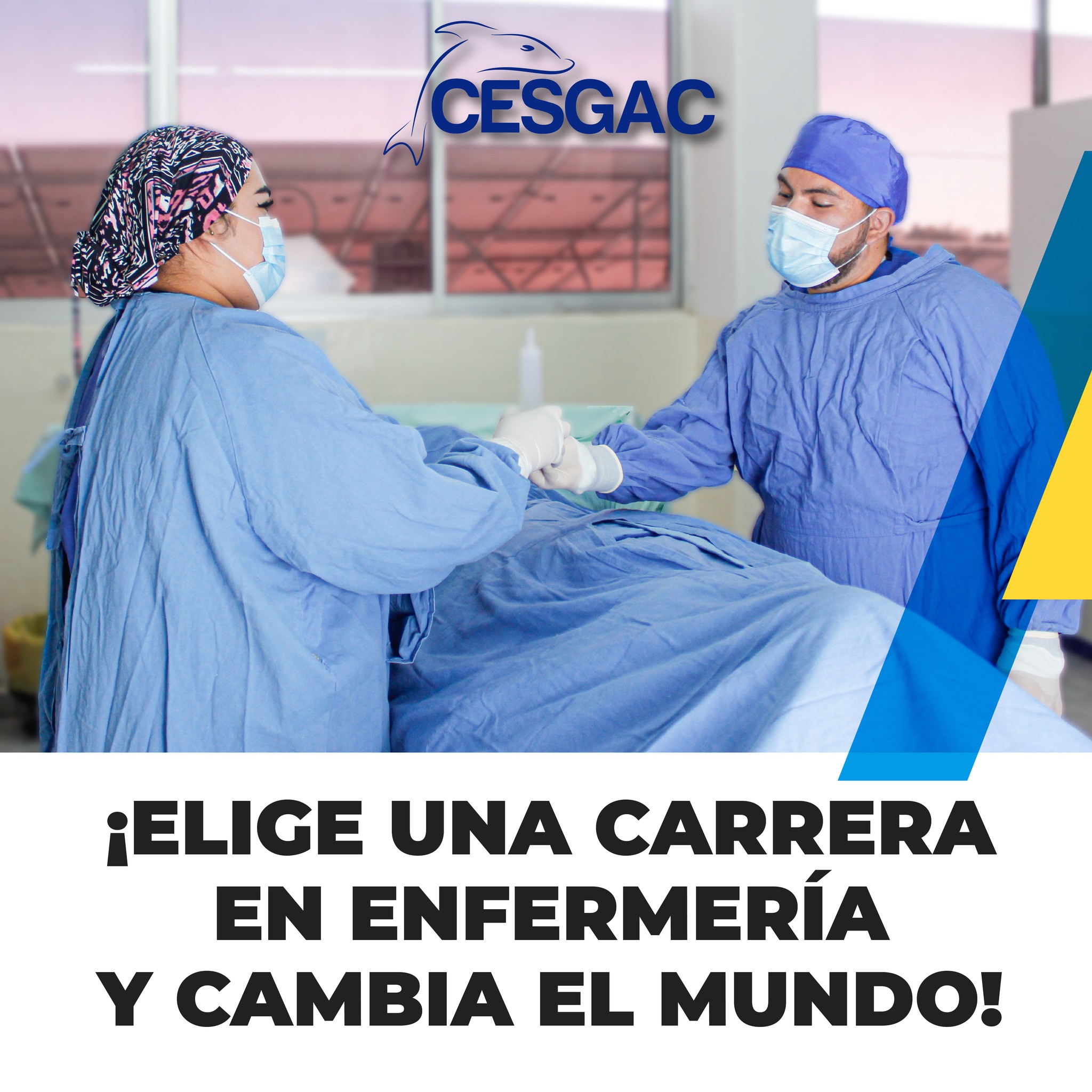 Imagen 6
