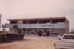 Imagen 4